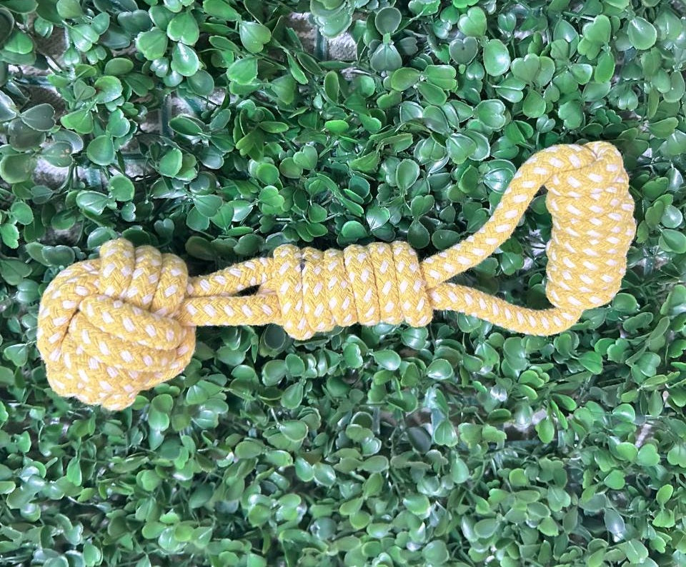 Pack N°3 con 3 Pelotas Inteligentes