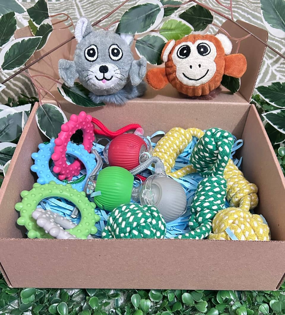 Pack N°3 con 3 Pelotas Inteligentes