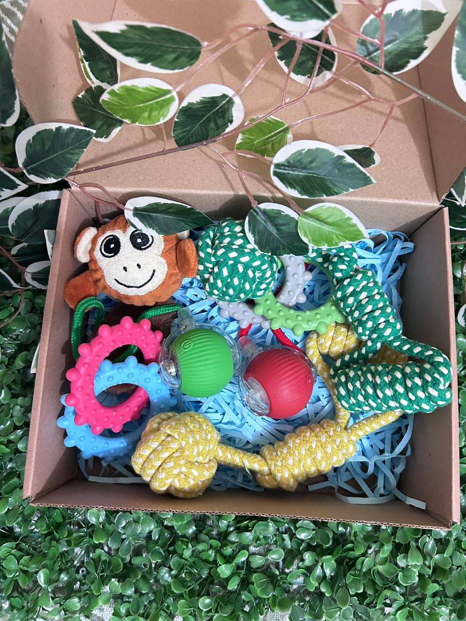 Pack N°2 con 2 Pelotas Inteligentes