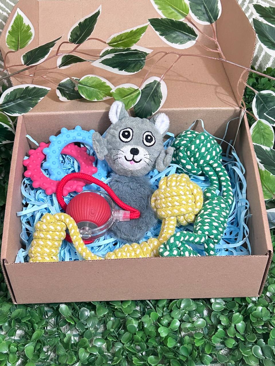 Pack N°1 con 1 Pelota Inteligente